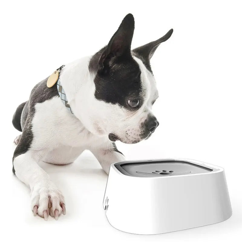 Bowli™ Großer Trinknapf für Haustiere             💥Sonderangebot. Letzter Tag!💥