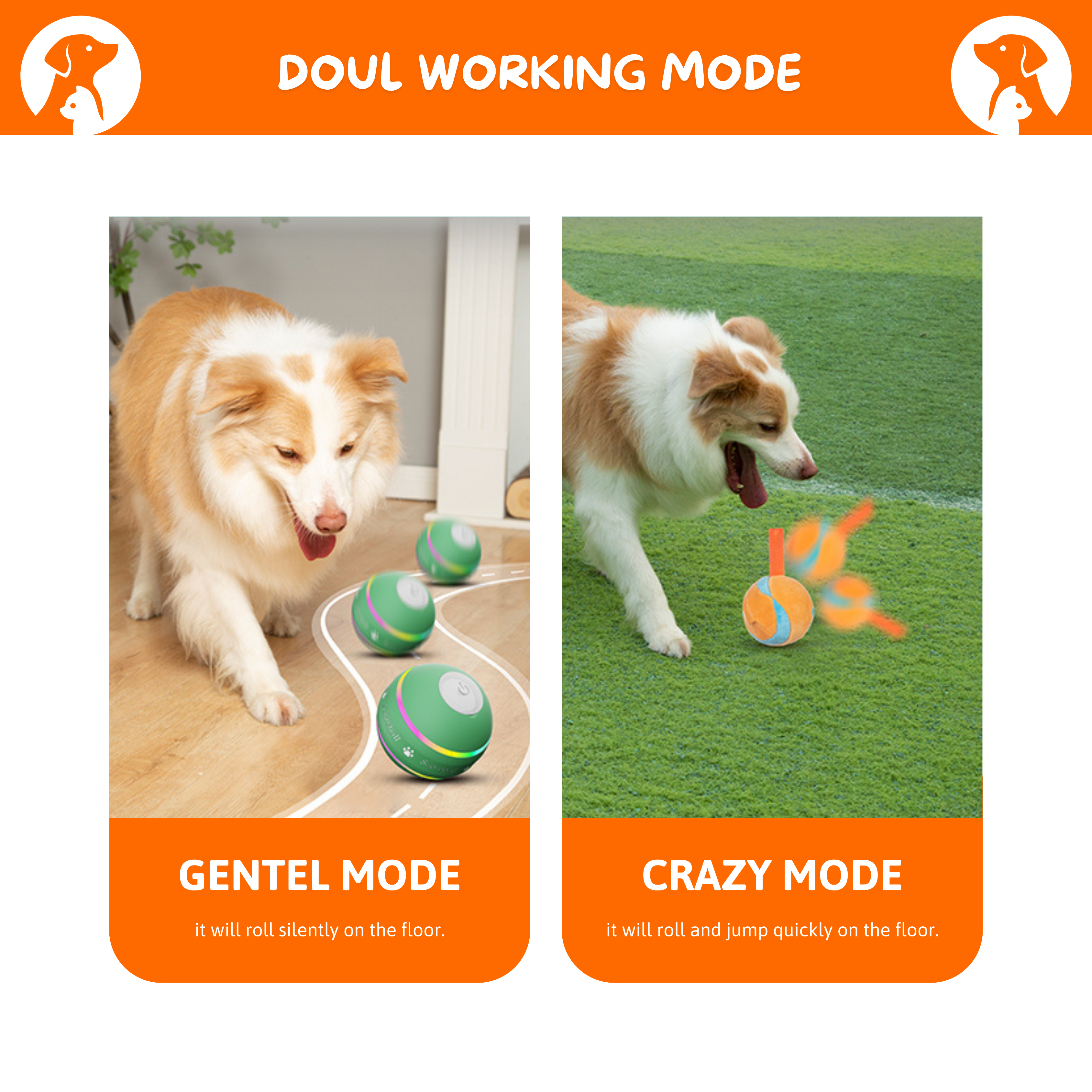 JoyPet™ Interaktives Spielzeug für Hunde und Katzen