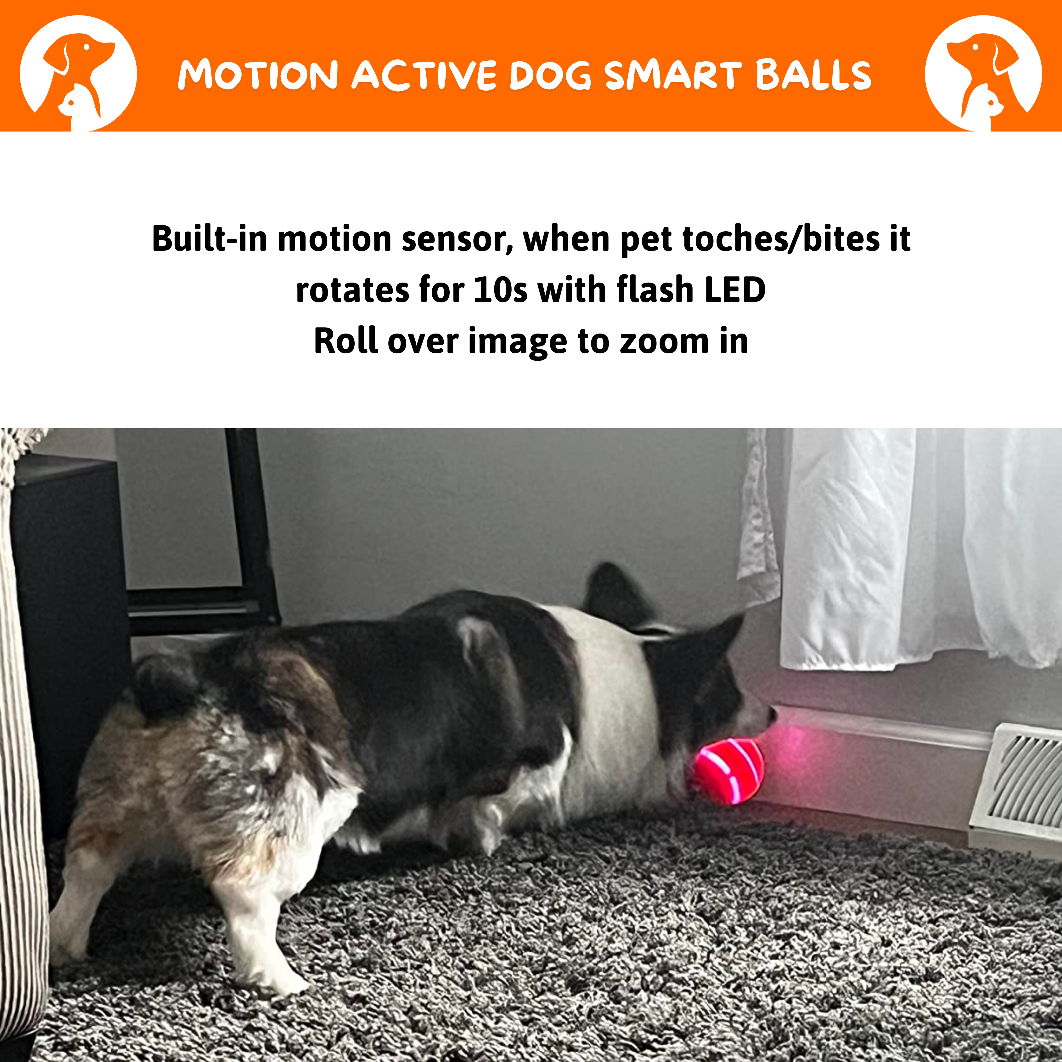 JoyPet™ Interaktives Spielzeug für Hunde und Katzen