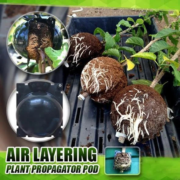 BioticGro™- Instant-Pflanzenwurzelbox