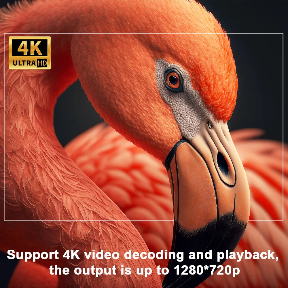 CINEMAZE™ 4K-Projektor (DIE Alternative zum teuren TV-Gerät)